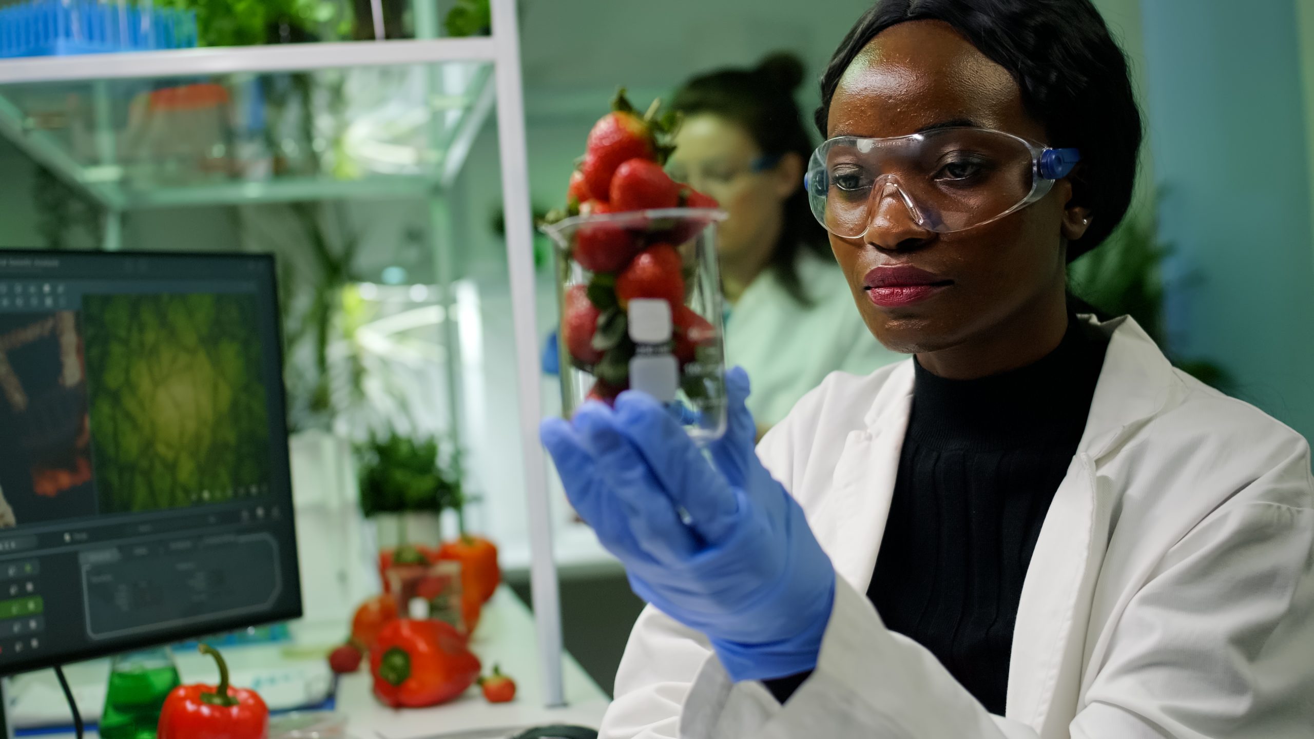 A table of freshly prepared food ingredients representing the food science and technology sector